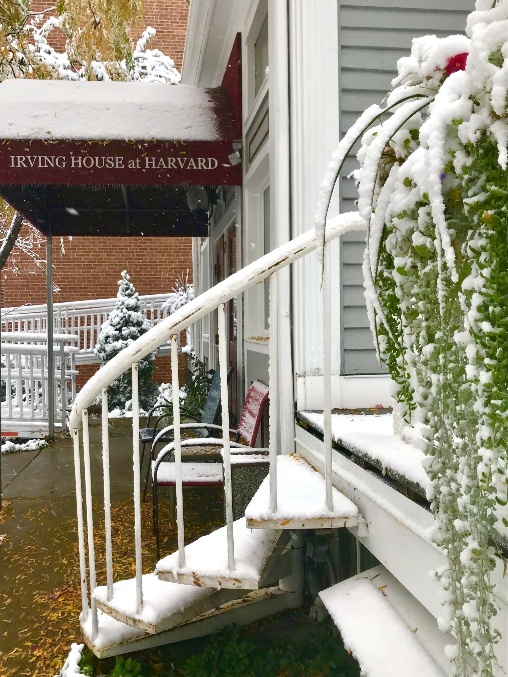 front stairs
